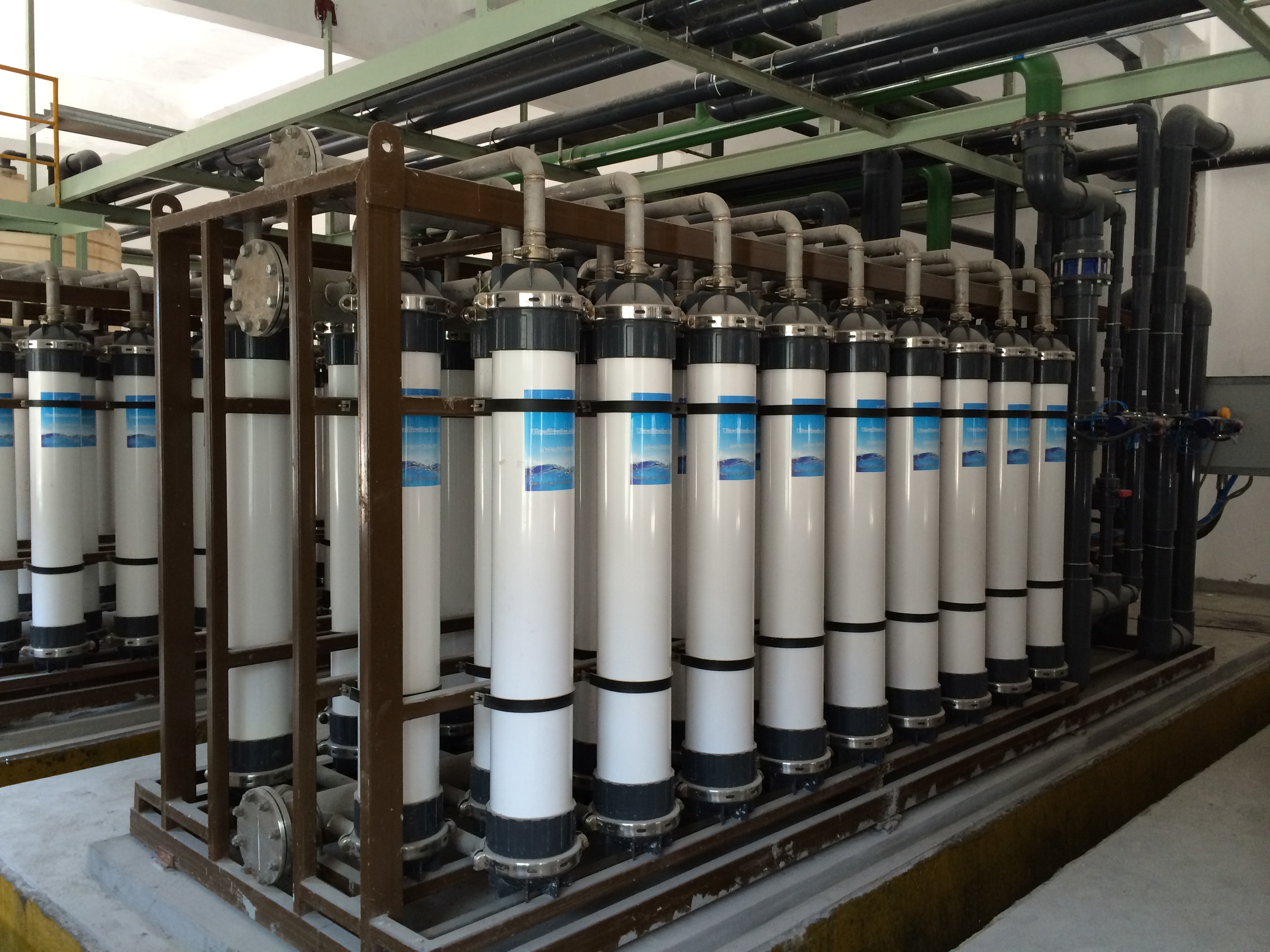 2014-07-29 114439.jpg